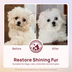 HICC PET fermented coconut oil care image emphasizing fur moisture and shine