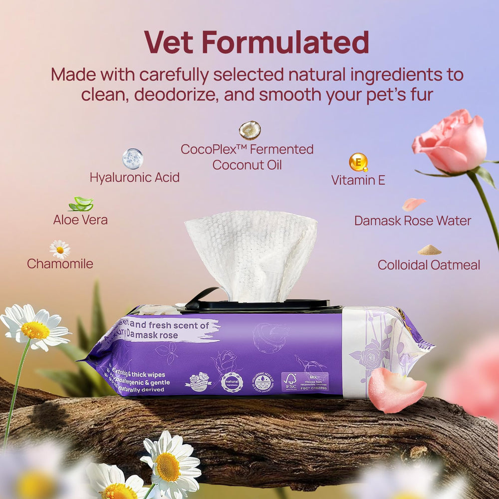 HICC PET plant-based formula ingredients highlighting gentle pet grooming use