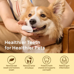 HICC PET teeth wipes demonstration shows quick plaque removal on pets.