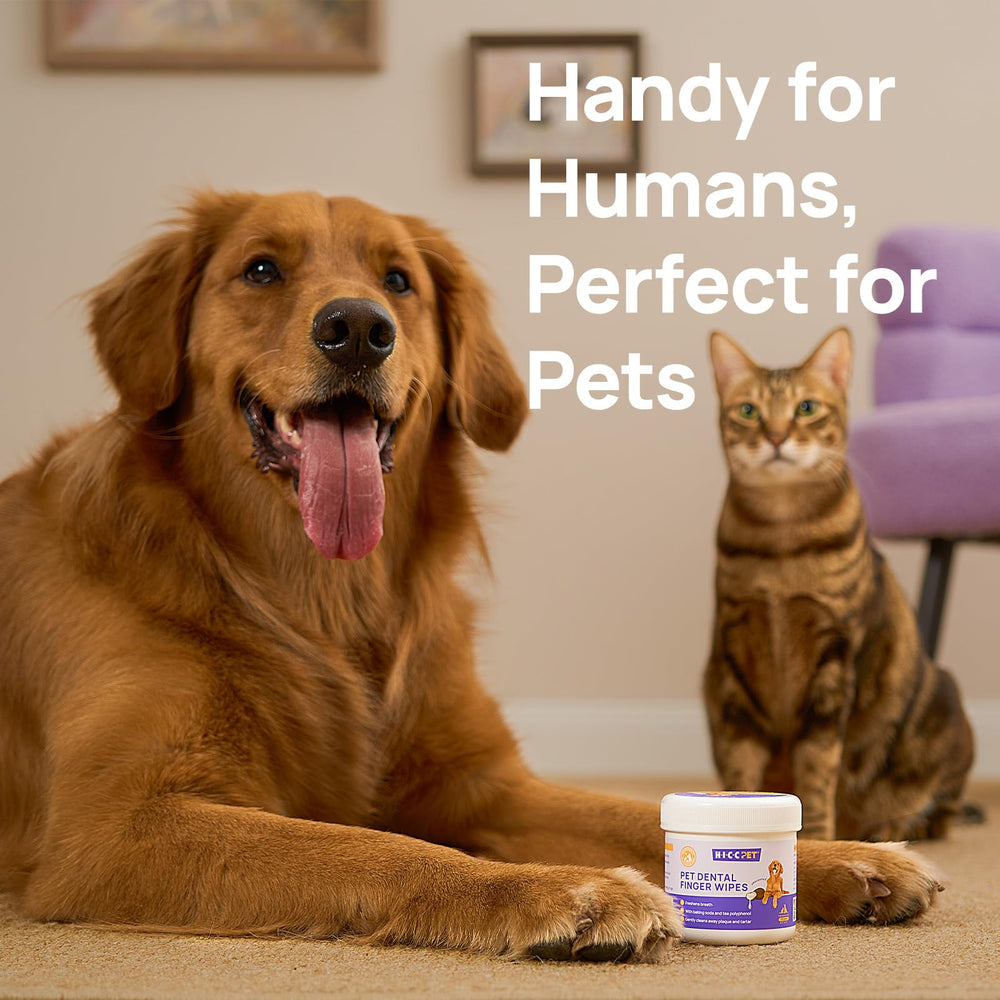 HICC PET teeth wipes instructions image provides quick, simple care steps