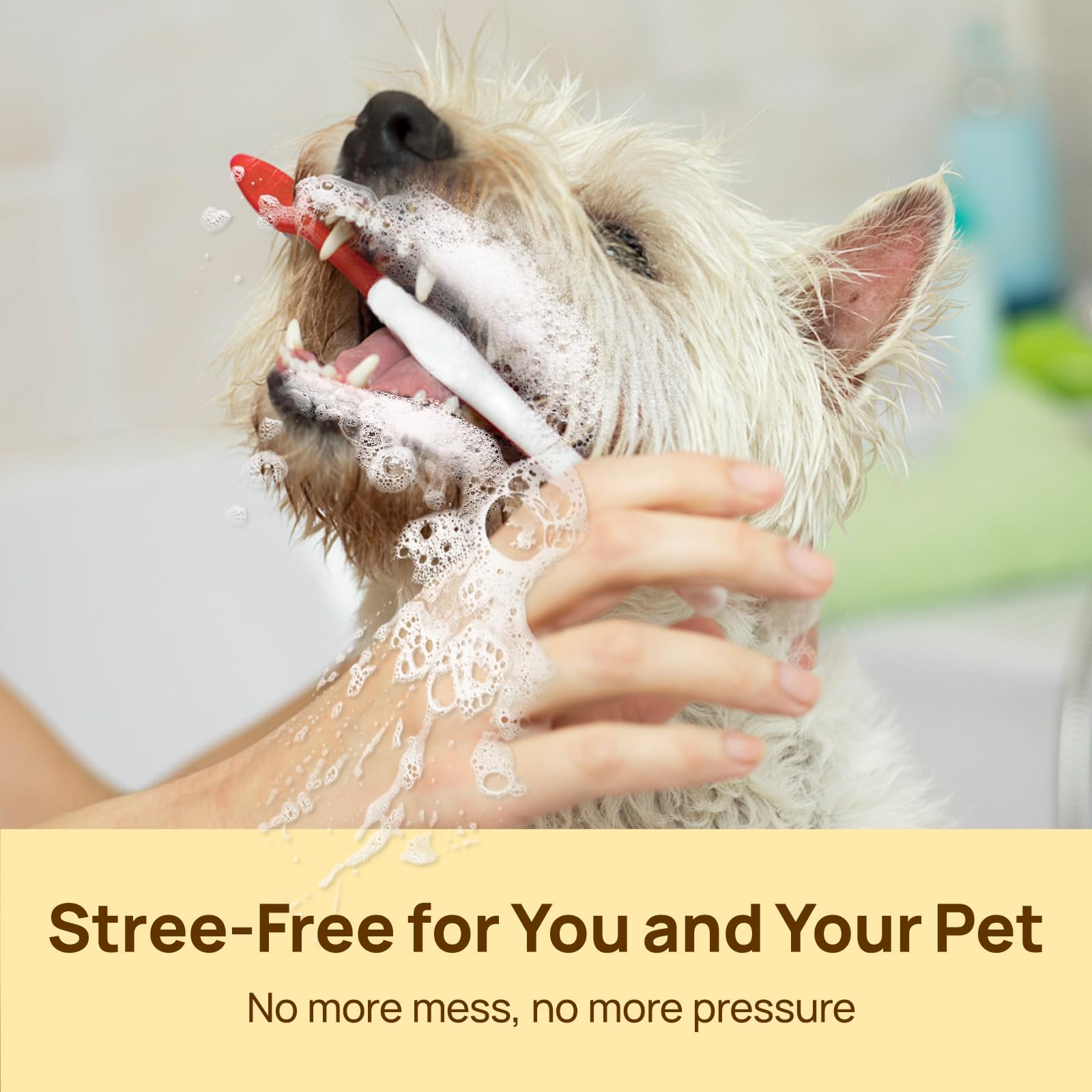 HICC PET Teeth Cleaning Wipes travel-friendly for on-the-go dental care