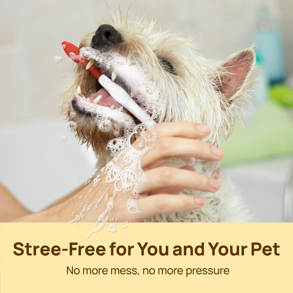 HICC PET Teeth Cleaning Wipes travel-friendly for on-the-go dental care