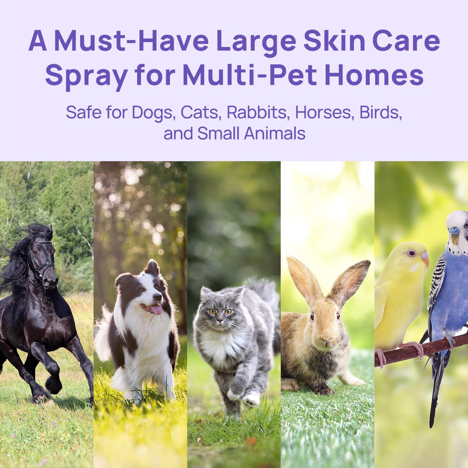 HICC PET wide-mist nozzle delivering broad coverage for large areas