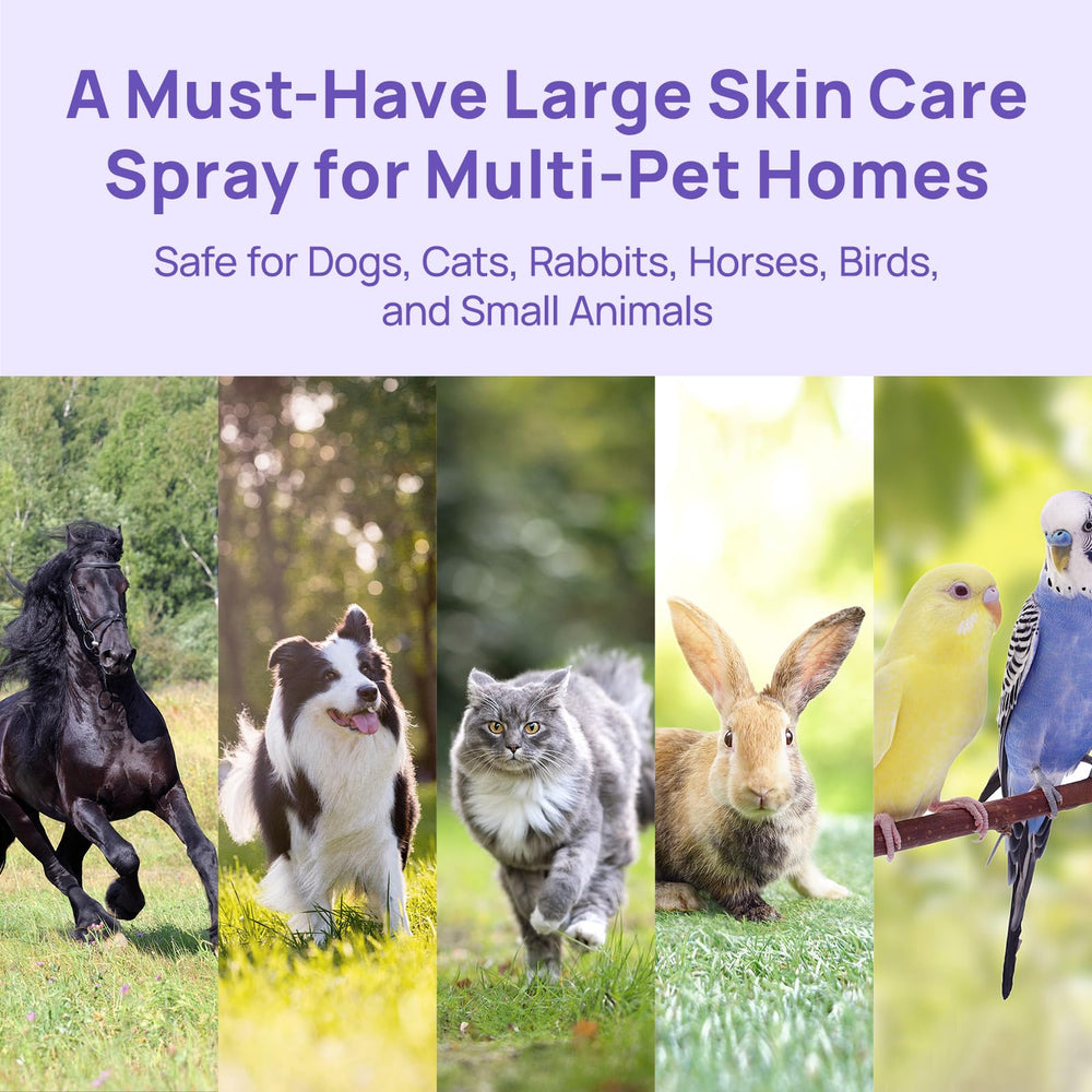 HICC PET wide-mist nozzle delivering broad coverage for large areas