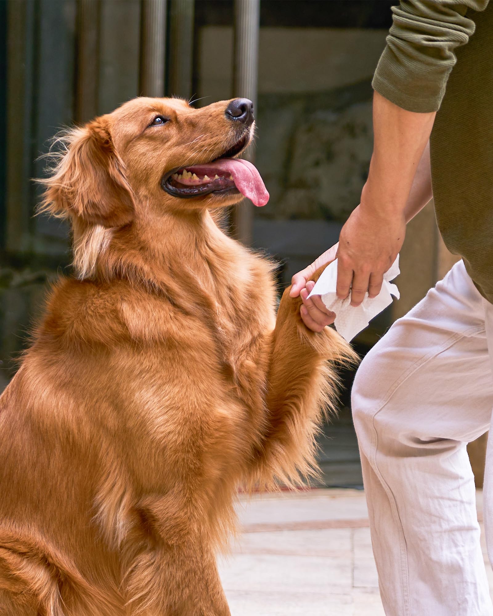 HICC PET alcohol-free formula for safe, gentle care.