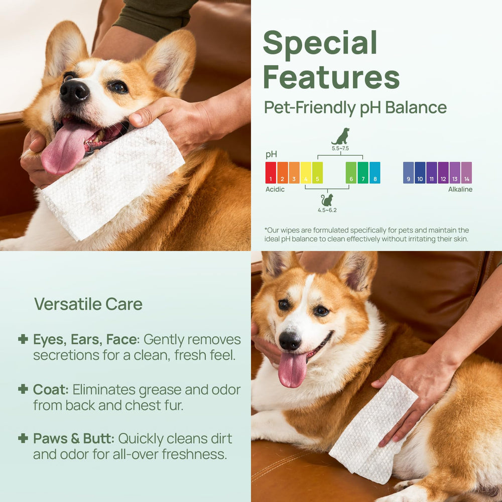 HICC PET wipes FSC-certified plant fiber, soft and thick for effective cleaning.