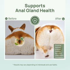 HICC PET wipes fur deodorize — freshen coat and reduce odors between baths.