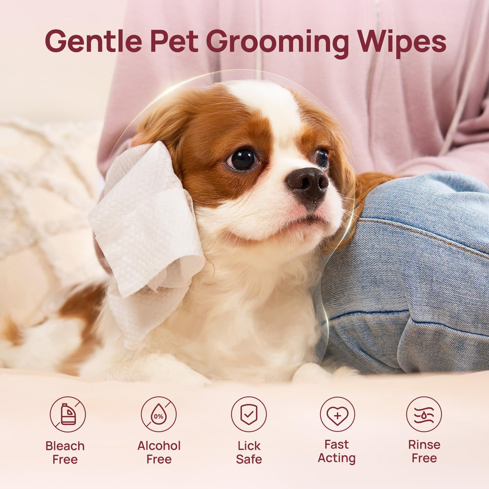 Tapa hermetica de HICC PET mantiene las toallitas frescas y húmedas.