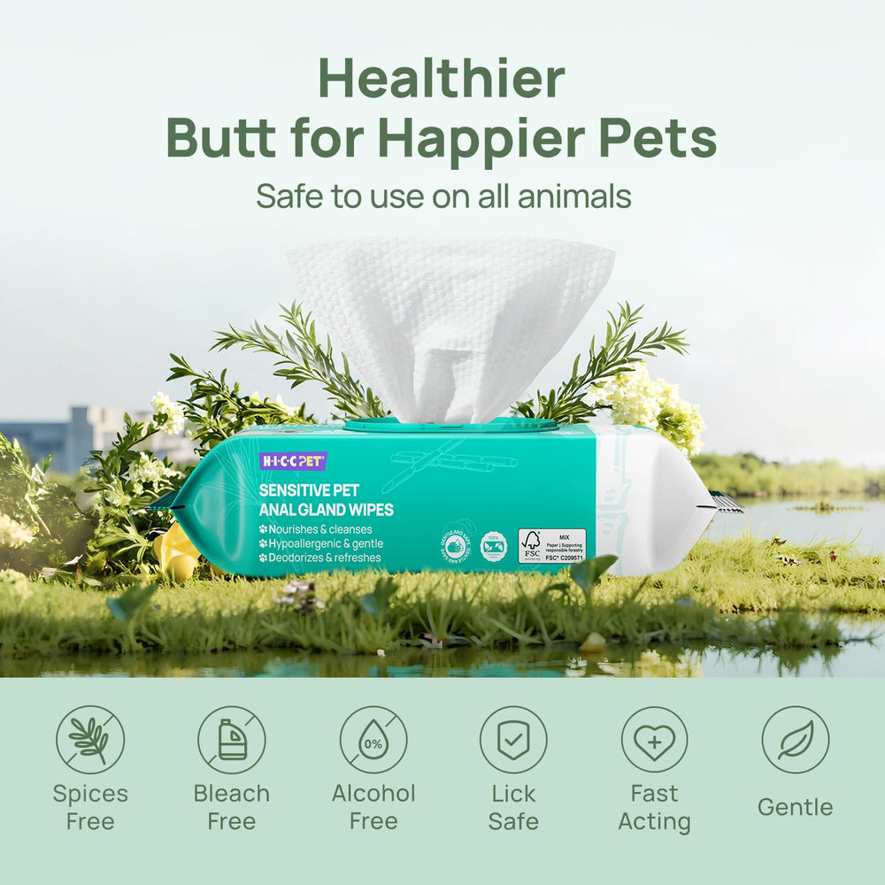 HICC PET wipes use plant-based fibers for soft, eco-friendly cleaning.