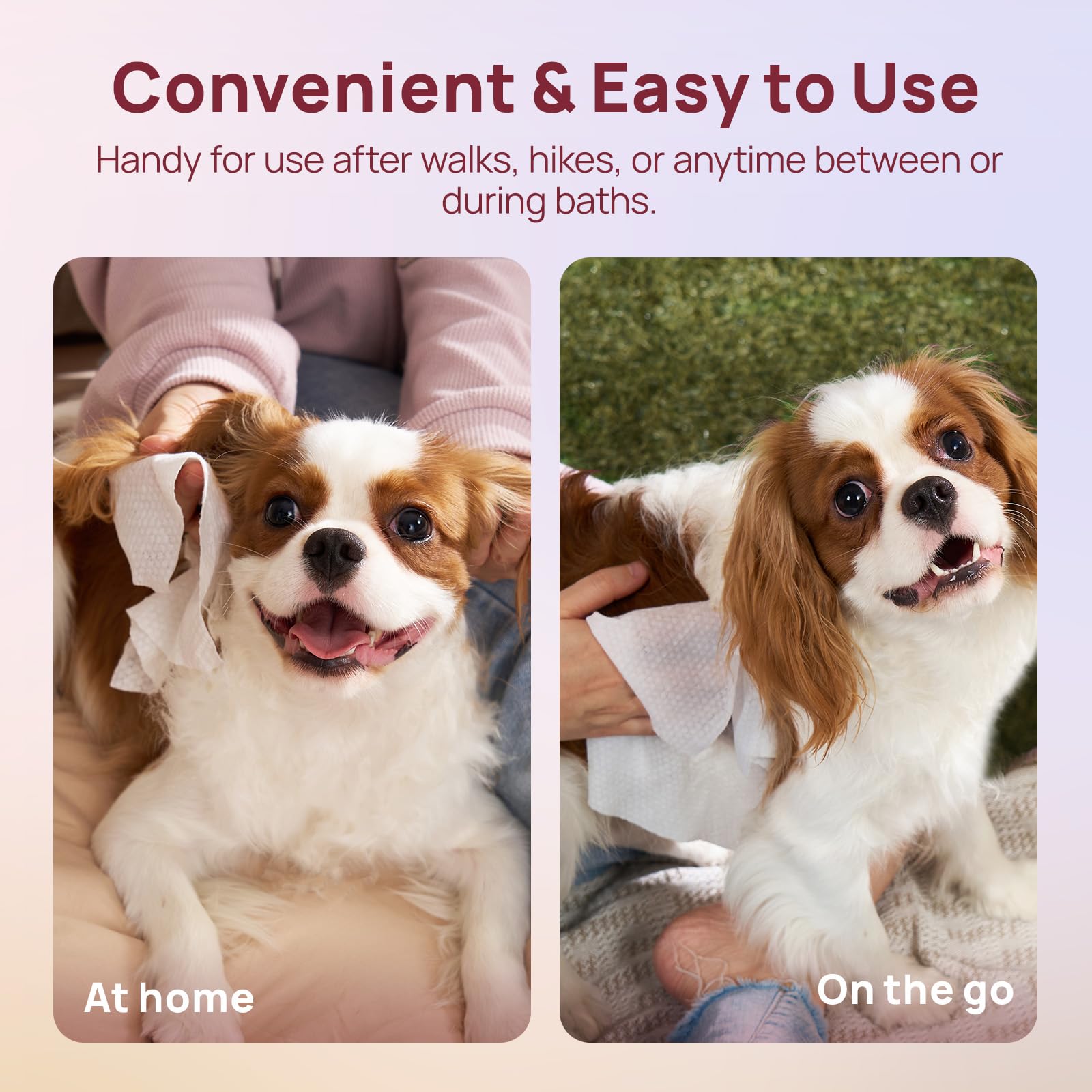 HICC PET thick wipes provide easier cleaning with larger sheets.