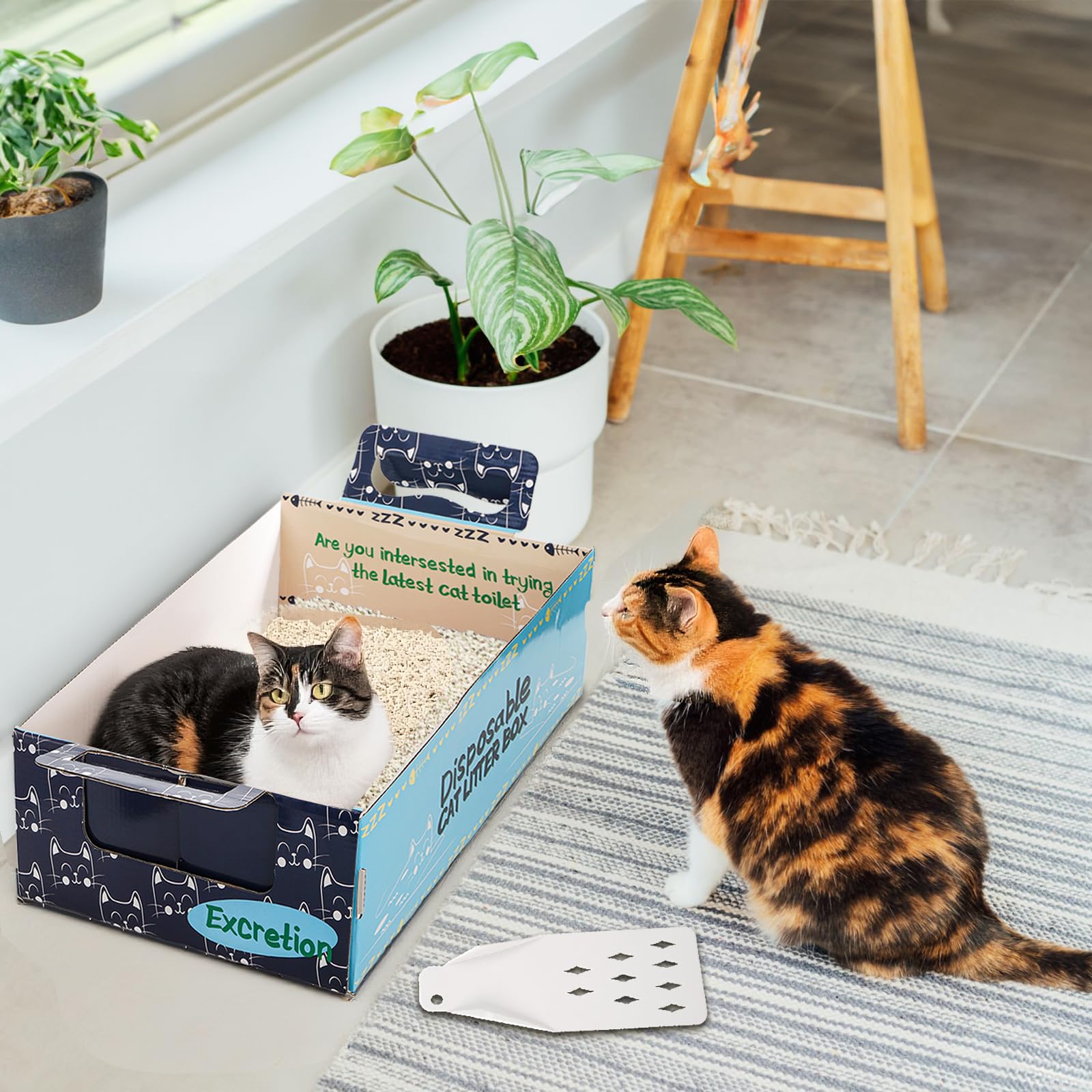 Hiceeden cat-ear design blue adds friendly vibe to pet space.