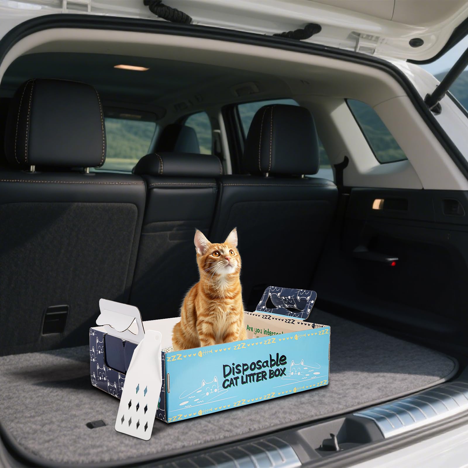 Hiceeden travel litter box blue used in car or vet visits for on-the-go potty.