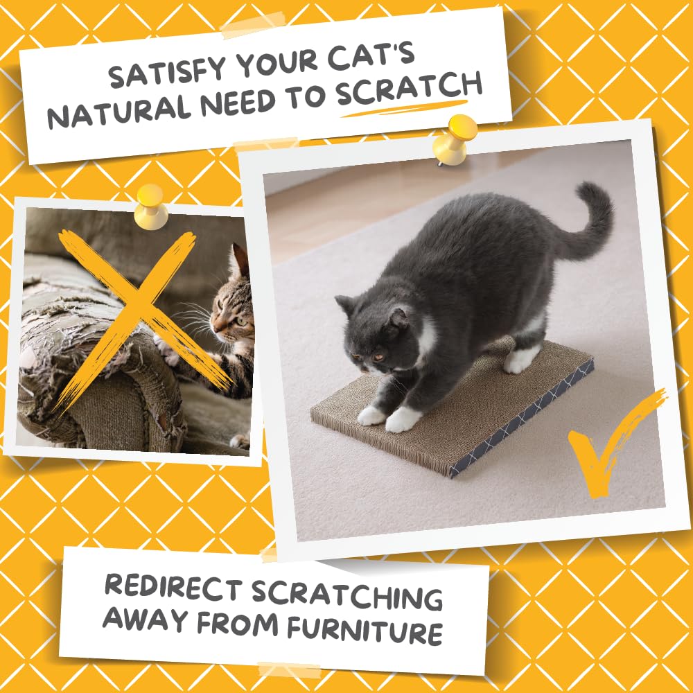 Hide & Scratch pad placed in a multi-cat living room for shared play