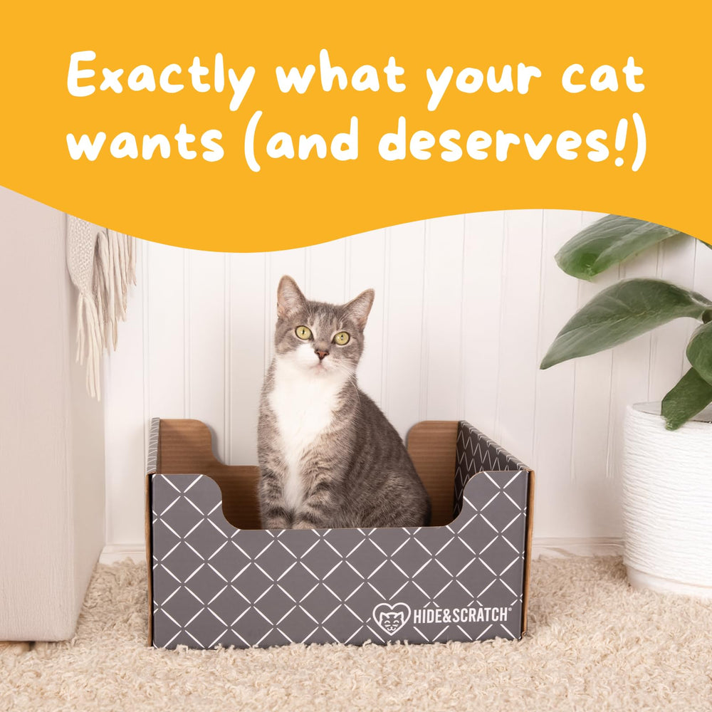 Hide & Scratch supports feline nonprofits through donations from purchases.