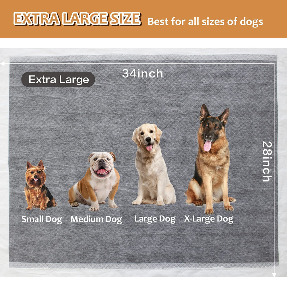 HIDOGGYLD quick-dry absorption keeps surfaces dry and tidy