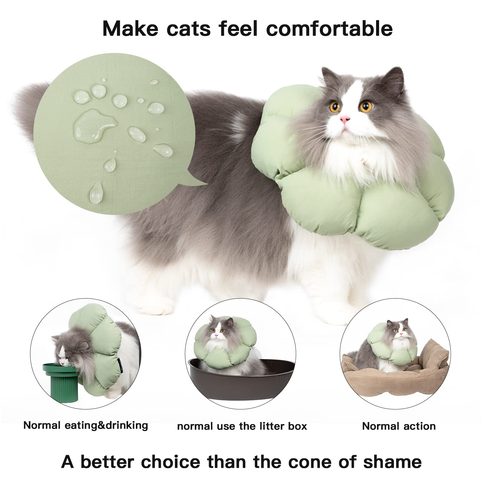 Hidream cat cone collar worn by a cat demonstrates easy eating and movement