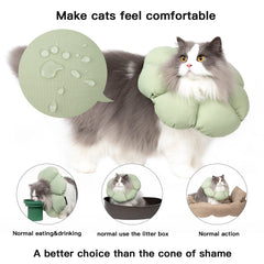 Hidream cat cone collar worn by a cat demonstrates easy eating and movement