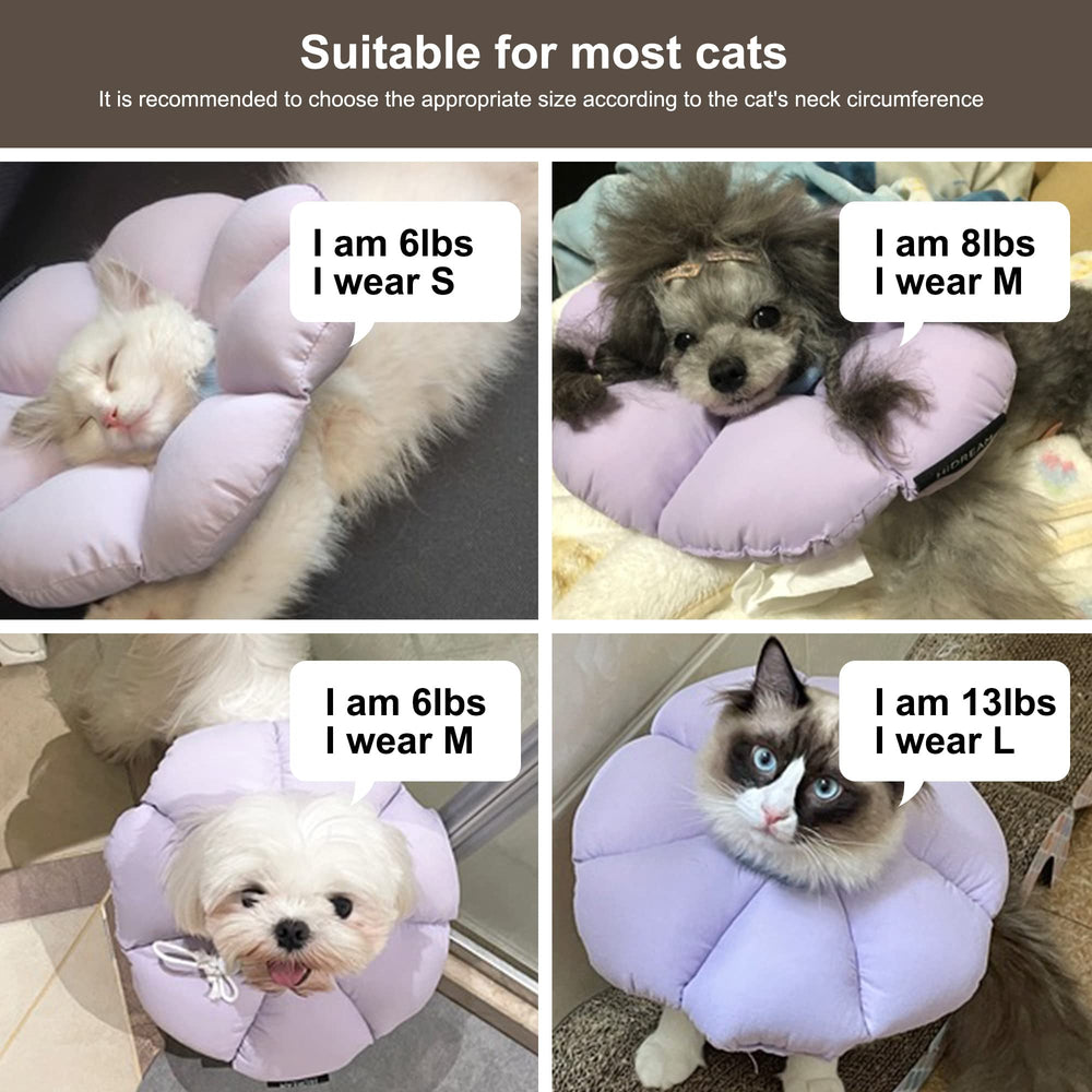 H HIDREAM cone collar looks durable and furniture-friendly during wear