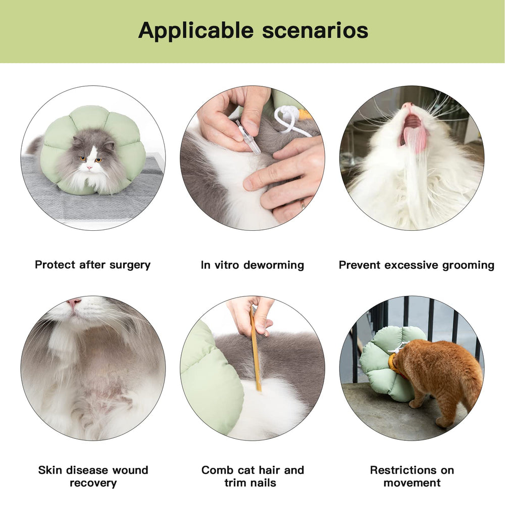 Hidream cat cone collar demonstrates wound recovery support and paw protection