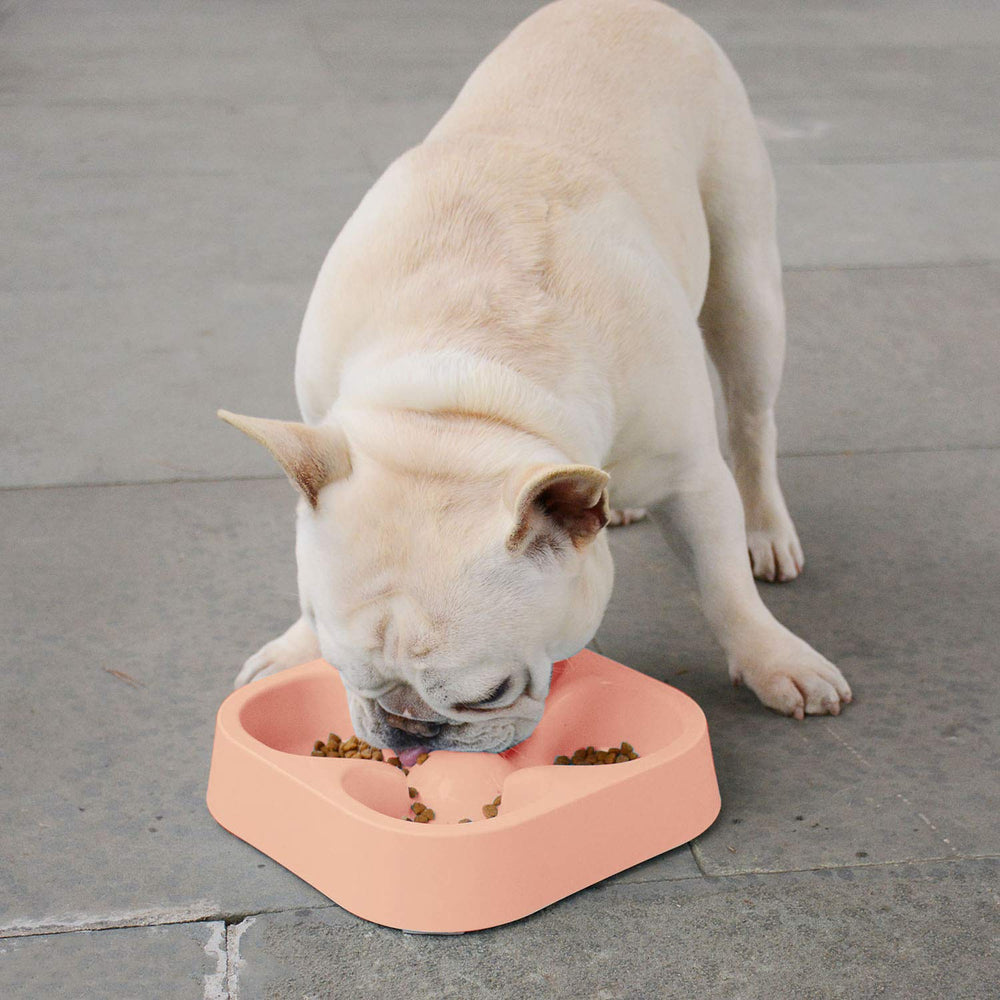 Hifrenchies dishwasher-safe cleaning makes cleanup quick and hygienic