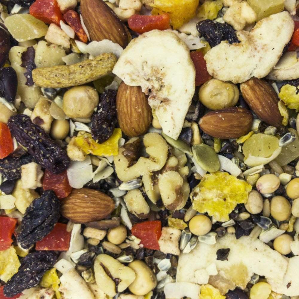 Higgins avian fruit-to-nut treat feeding scene—encourages varied diets and healthy engagement