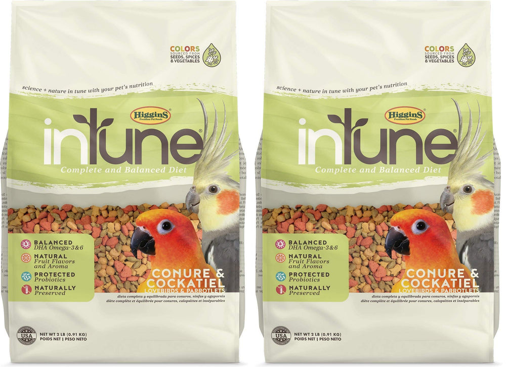 Higgins Intune conure and cockatiel food bags—two-pack convenience for fresh meals