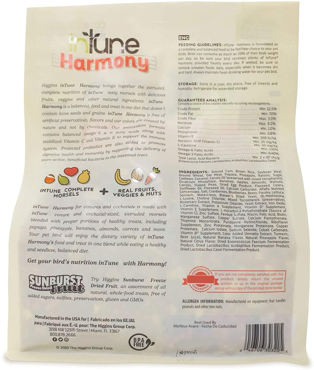 Higgins Intune Harmony serving bowl with nutritious parrot mix