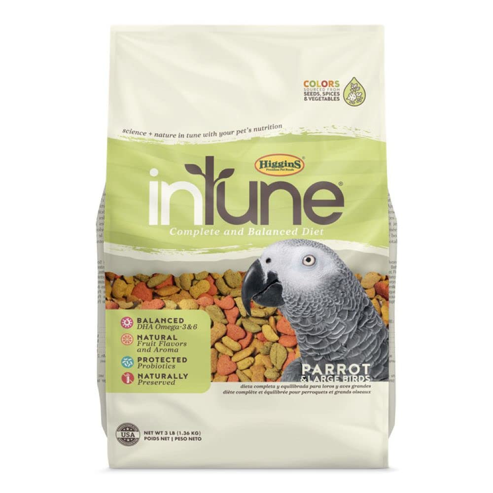 Higgins Intune Parrot 3lb bag with natural pellets supporting daily nutrition