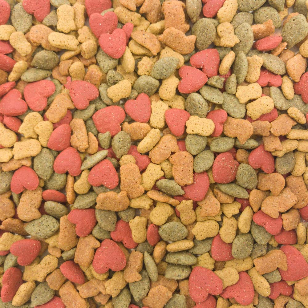 Higgins Intune Parrot pellets close-up highlighting texture and added DHA, Omega fatty acids, and probiotics