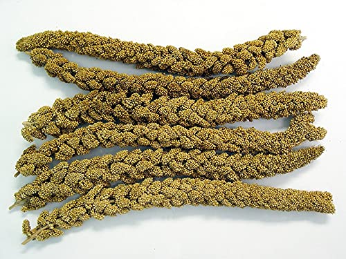 Higgins Spray Millet Bird Treats closeup — single-ingredient millet for natural snacking and bonding.