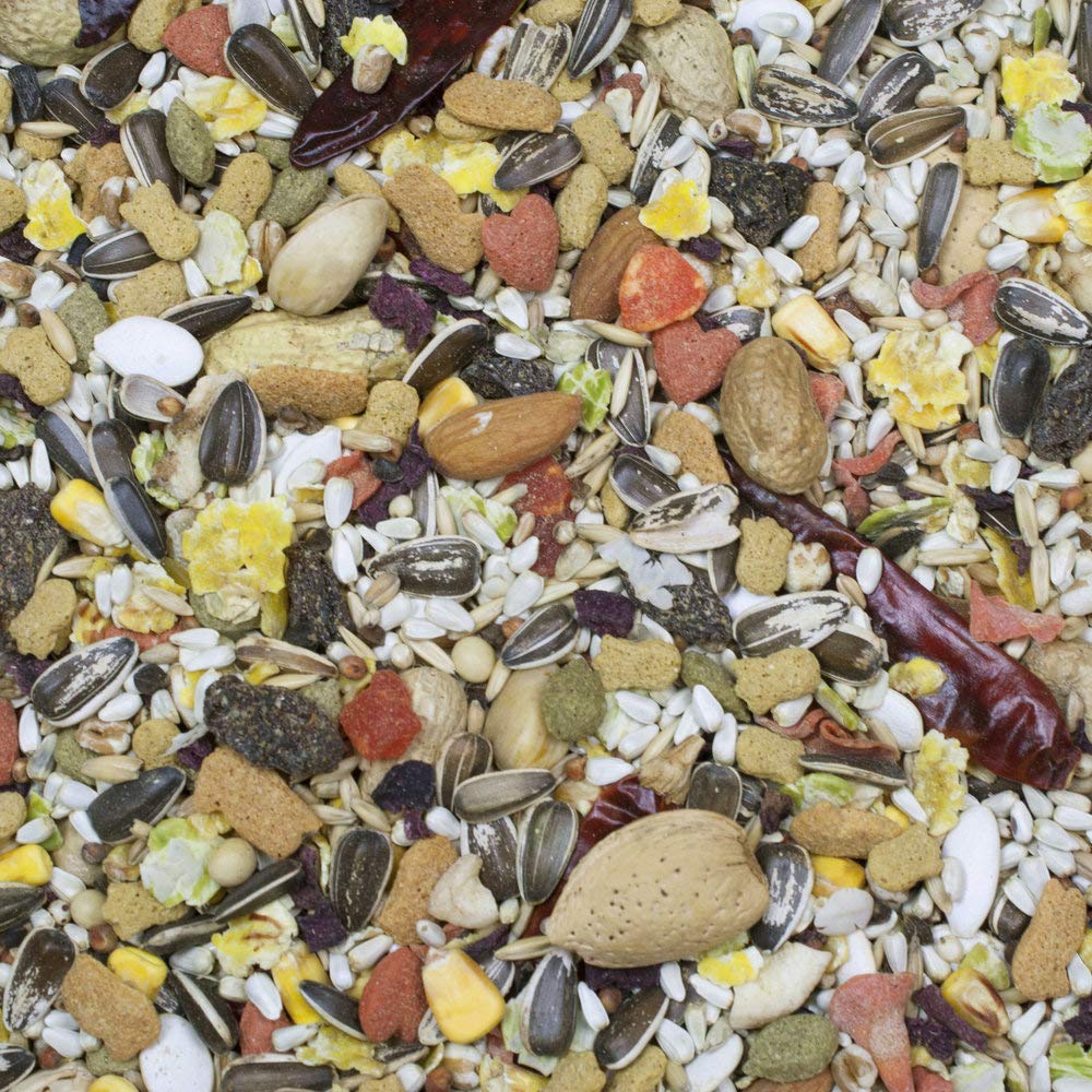 Higgins Sunburst Gourmet Blend Parrot Food bags close-up highlighting colorful seed mix for enrichment.