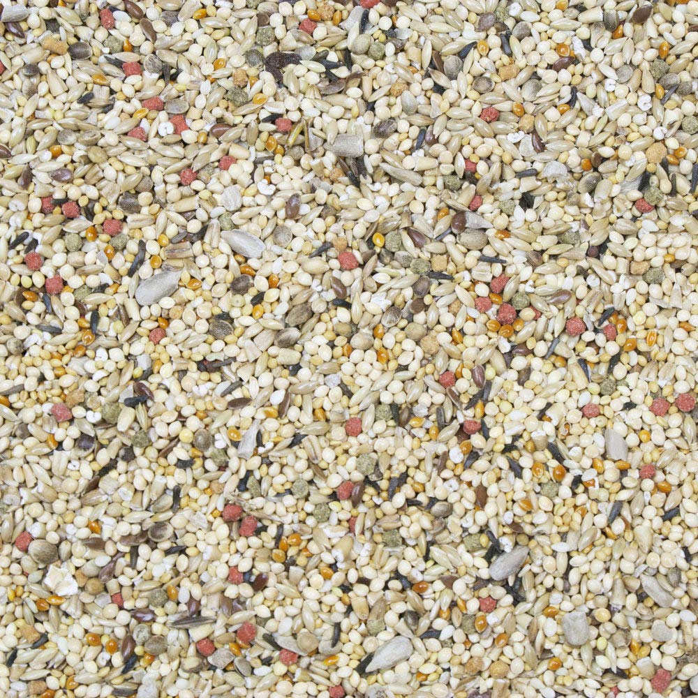 Higgins Vita Seed Natural Blend Finch Food seed closeup shows varied ingredients for healthy foraging.