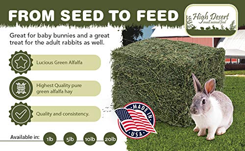 High Desert Alfalfa Hay field-grown alfalfa from a sustainable farm.