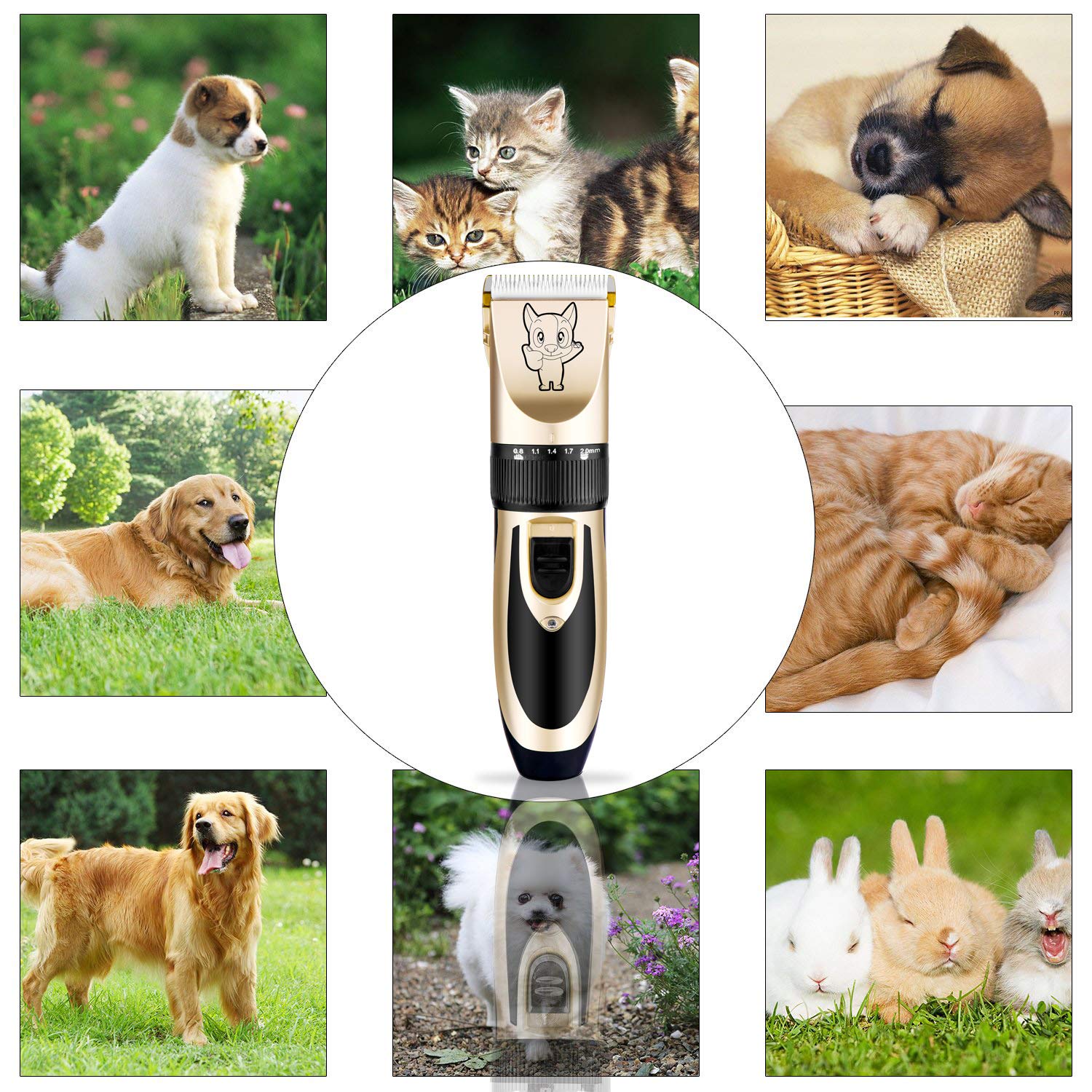 Highdas quiet motor supports calmer grooming sessions.