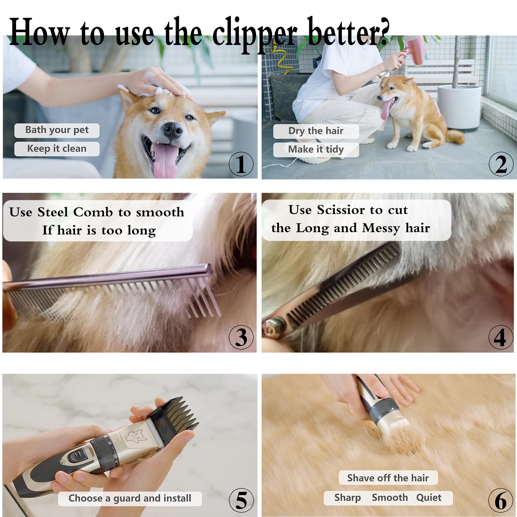 Highdas grooming tips suggest scissors prep for thick coats.