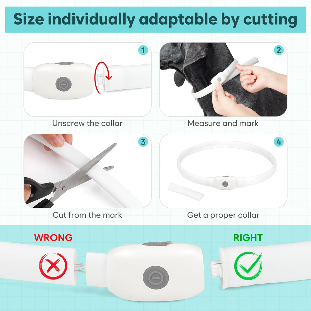 Higo RGB LED dog collar light size-adjustable fit for all breeds