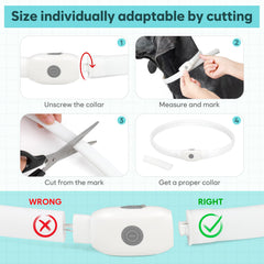 Higo RGB LED dog collar light size-adjustable fit for all breeds