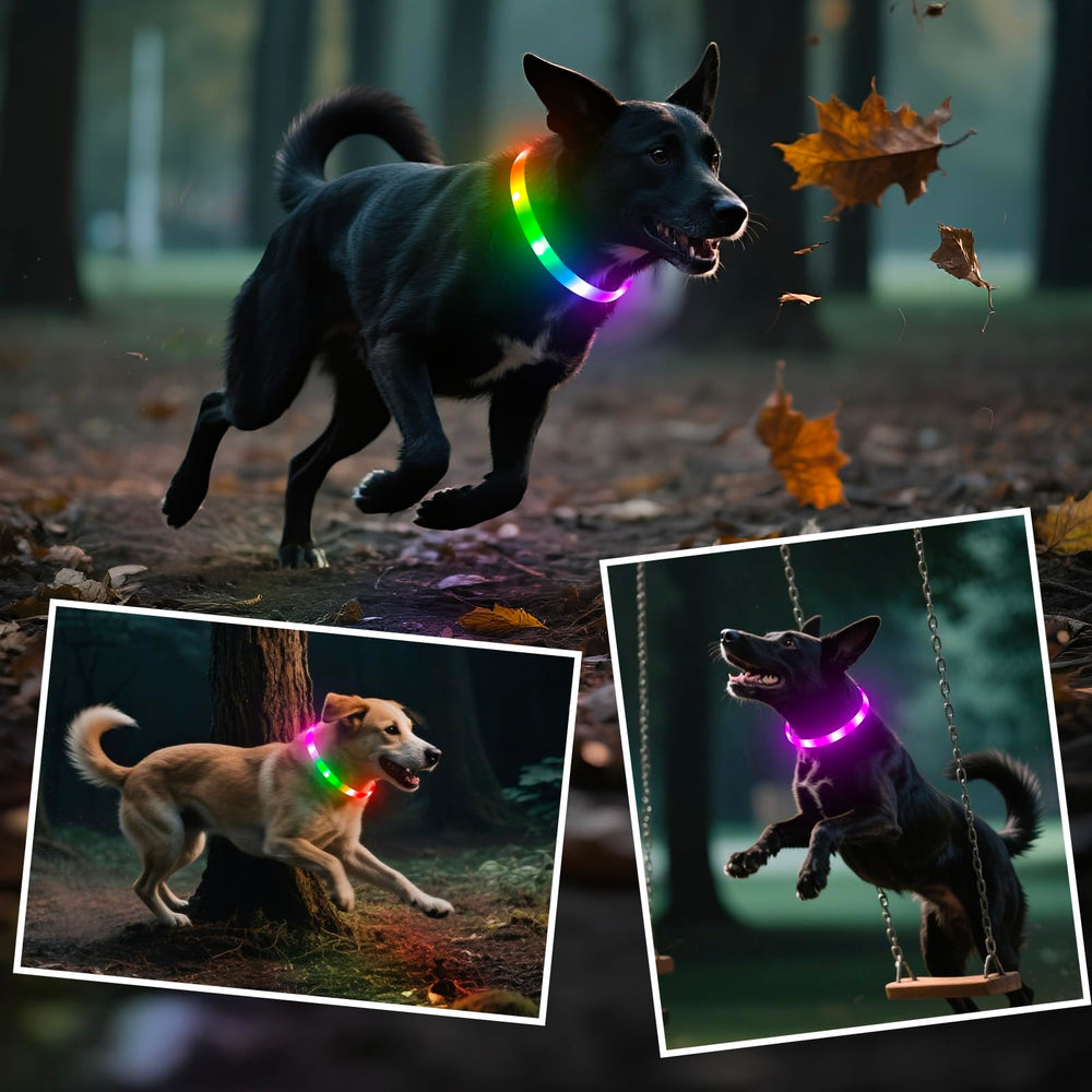 Higo RGB LED dog collar light gift-ready packaging
