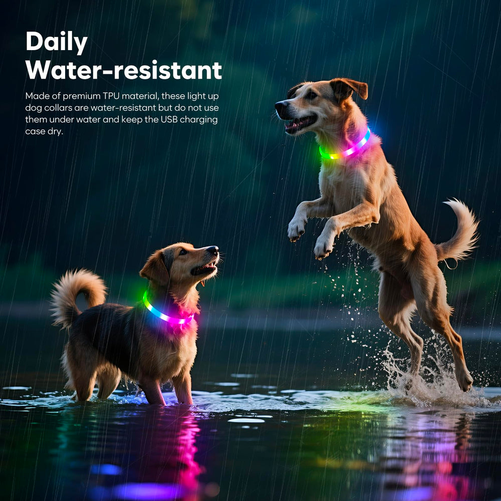 Higo RGB LED dog collar light USB recharge and long battery life