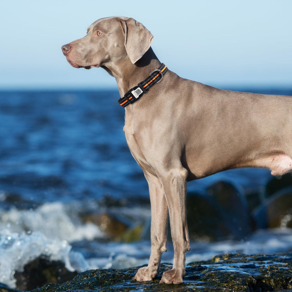 Hiifardz Airtag collar padded lining keeps dogs comfortable all day.