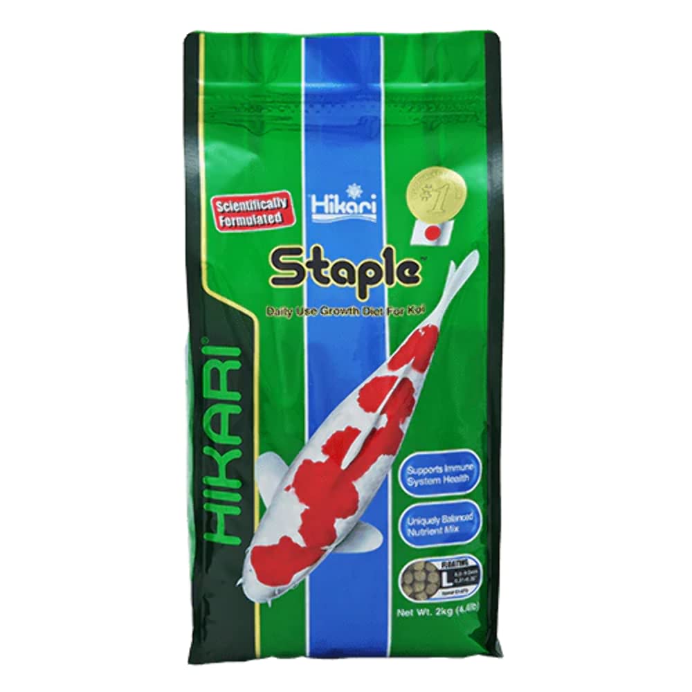 Large bag of Hikari AHK01470 staple pellets supports steady daily feeding.