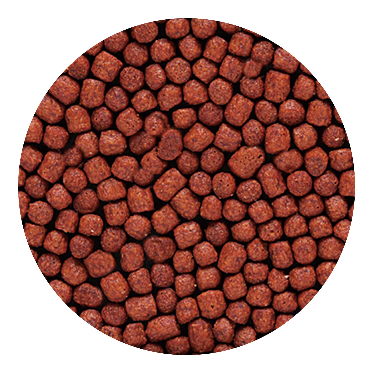 Hikari Blood Red Parrot+ krill-astaxanthin ingredients illustrate color-boosting formula