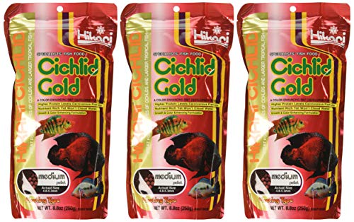 Hikari Cichlid Gold color-enhancement pellets in action promote natural brilliant hues