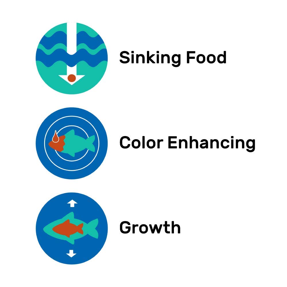 Demo of immune-support potential in fish with color-rich diet