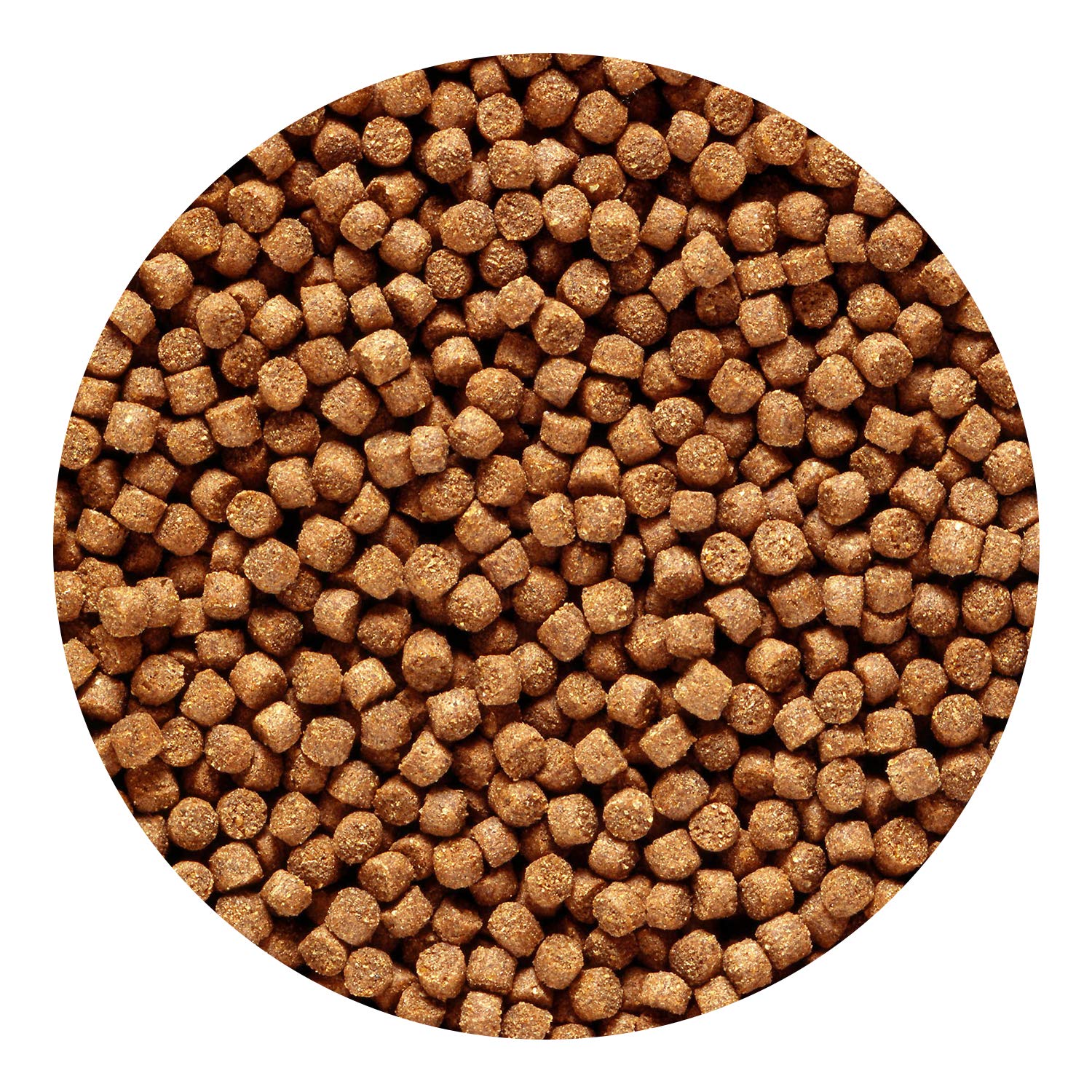 Hikari Cichlid Gold Pellets pouring action highlights sinking formula for bottom-dwelling fish