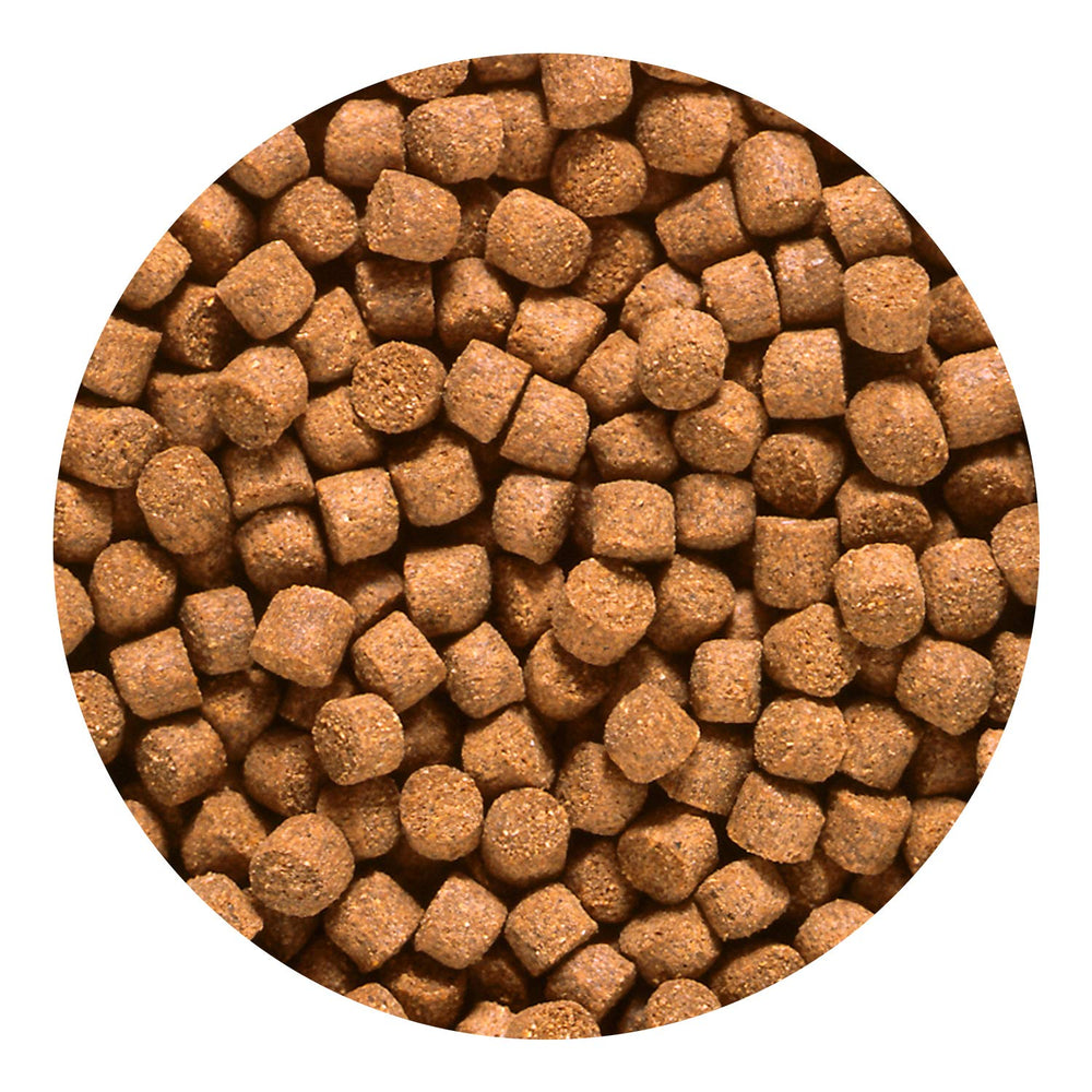 Sinking in-tank view shows pellets reaching mid-water for bottom-feeder access