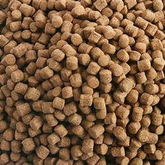 Pastillas germen hundibles Hikari en agua fría, se hunden rápido para climas fríos.
