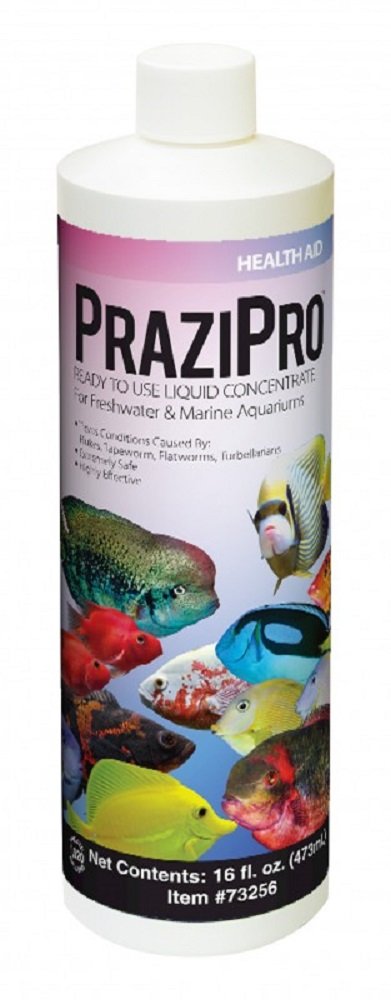 Hikari Prazipro 16oz bottle for safe aquarium parasite treatment in freshwater and marine tanks