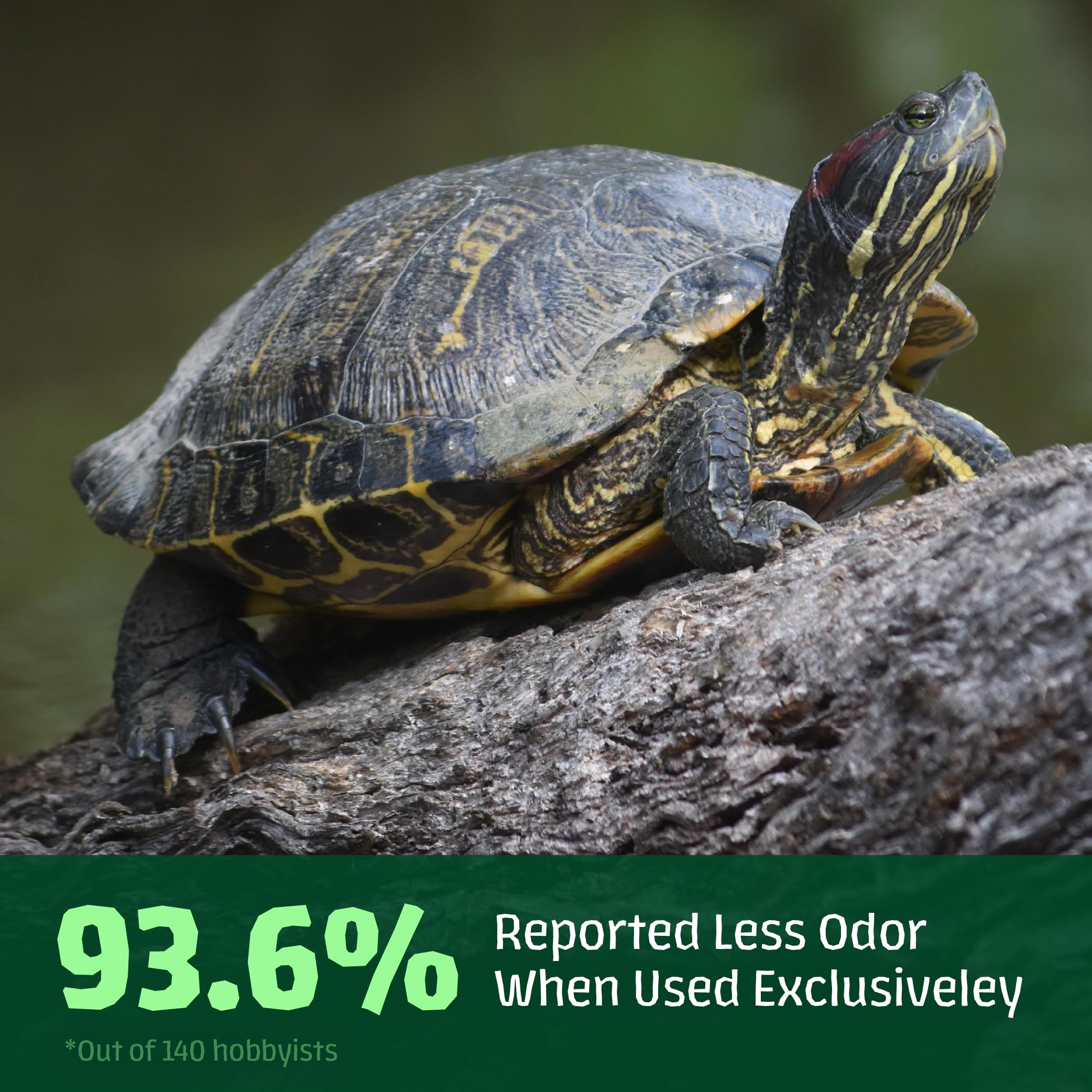 Hikari Saki-Turtle Sticks 20 oz in tank setup demonstrates daily feeding use