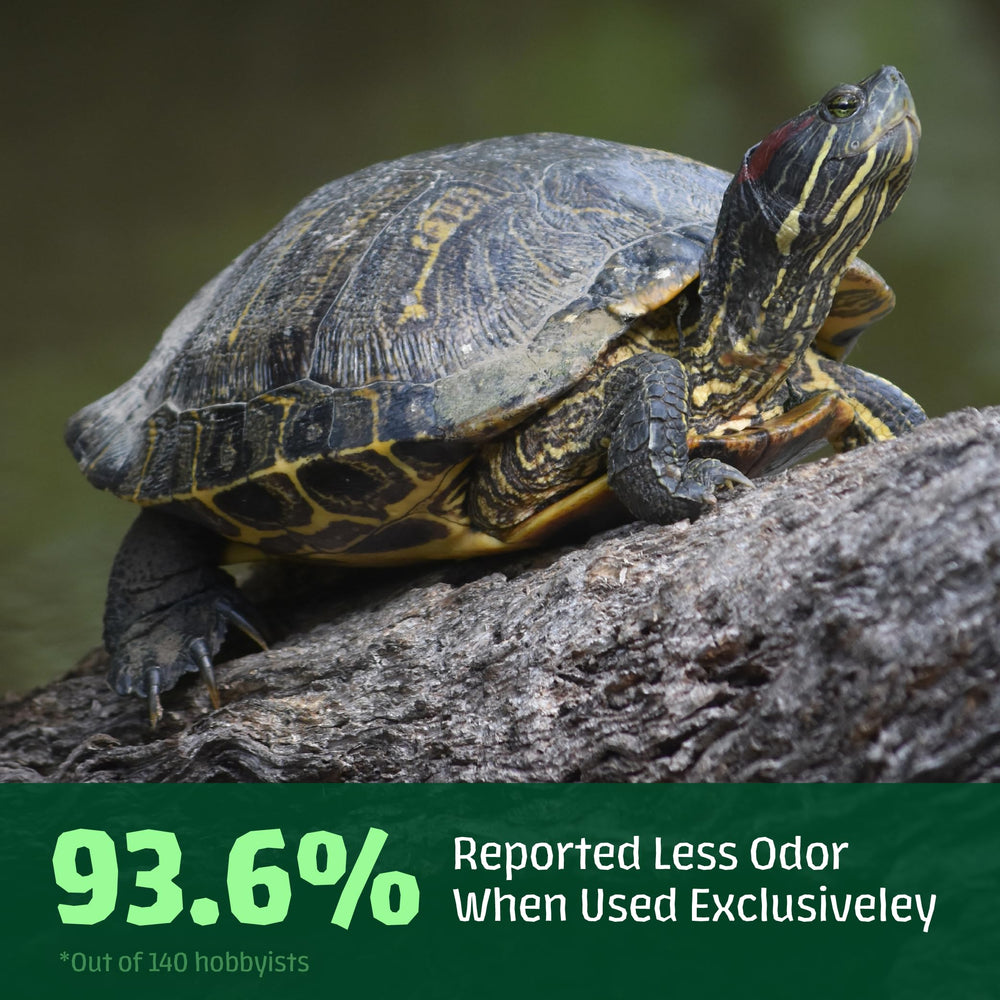 Hikari Saki-Turtle Sticks 20 oz in tank setup demonstrates daily feeding use